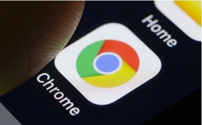 如何通过google浏览器优化网页中的SVG图像显示