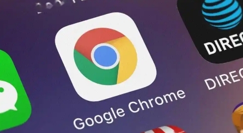 谷歌浏览器如何通过隐私保护增强浏览安全性