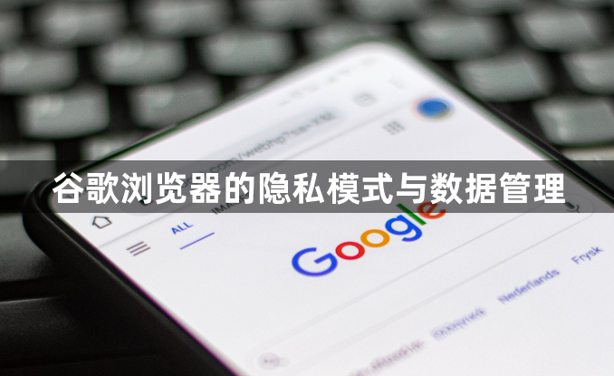 谷歌浏览器的隐私模式与数据管理1