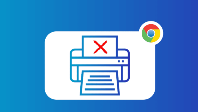 Google浏览器是否支持网页预加载缓存1