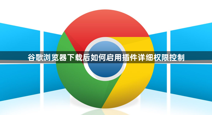 谷歌浏览器下载后如何启用插件详细权限控制1