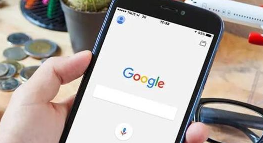 谷歌Chrome浏览器插件页面变灰的安全机制说明1