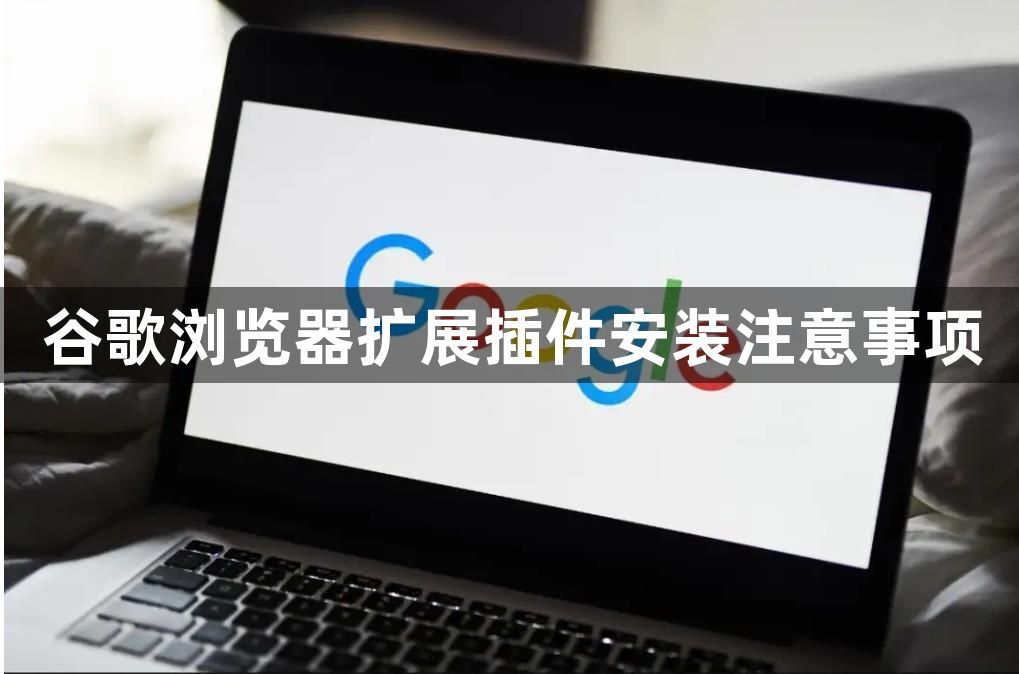 谷歌浏览器扩展插件安装注意事项1