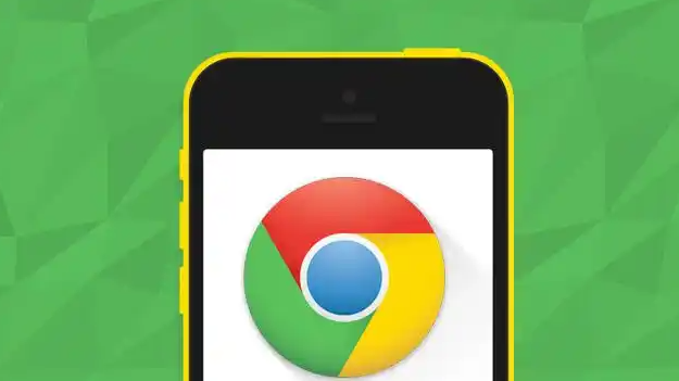 Google Chrome自动检测网页重复内容1