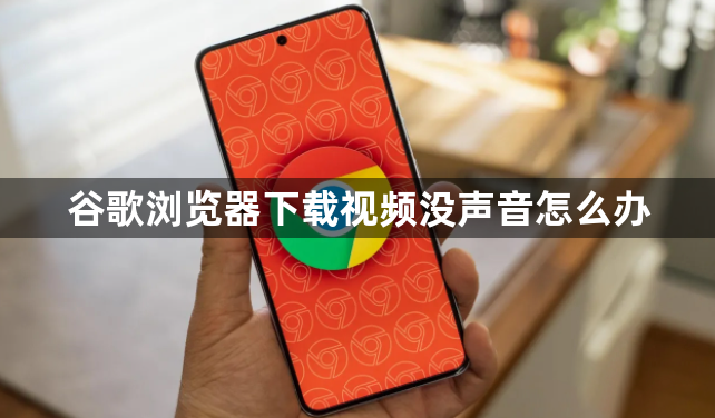 谷歌浏览器下载视频没声音怎么办1