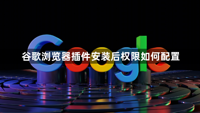 谷歌浏览器插件安装后权限如何配置1