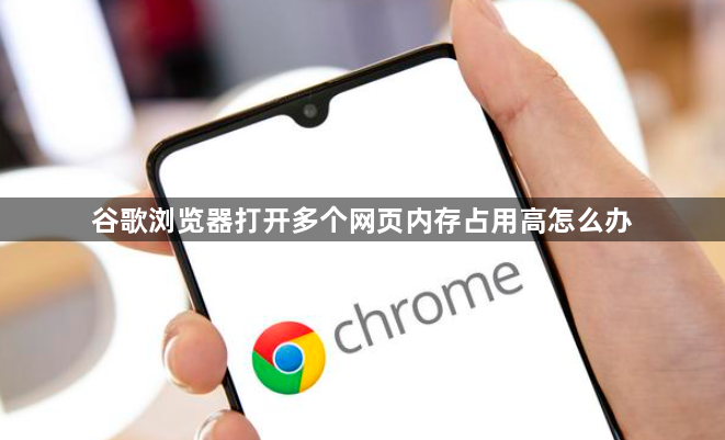 谷歌浏览器打开多个网页内存占用高怎么办1
