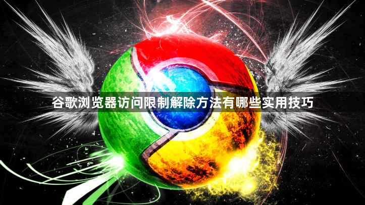 谷歌浏览器访问限制解除方法有哪些实用技巧1